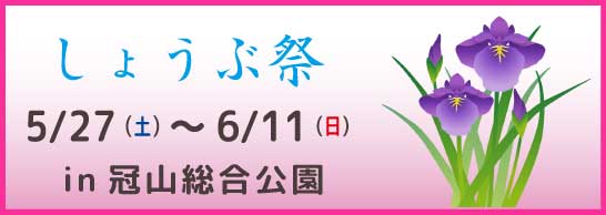 傤Ԃ܂